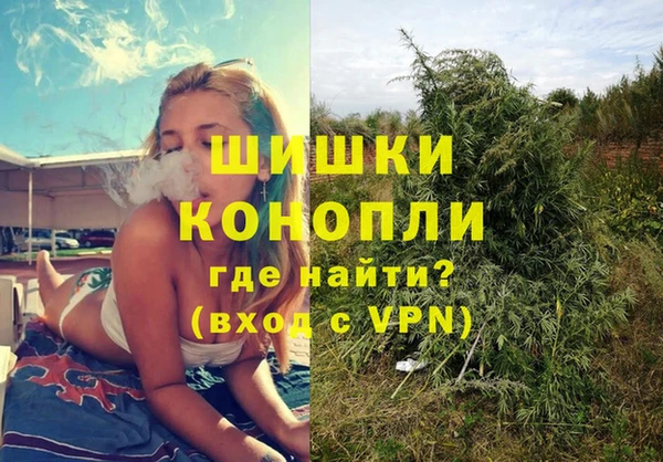 ГАЛЛЮЦИНОГЕННЫЕ ГРИБЫ Верхний Тагил