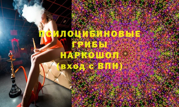 ГАЛЛЮЦИНОГЕННЫЕ ГРИБЫ Верхний Тагил