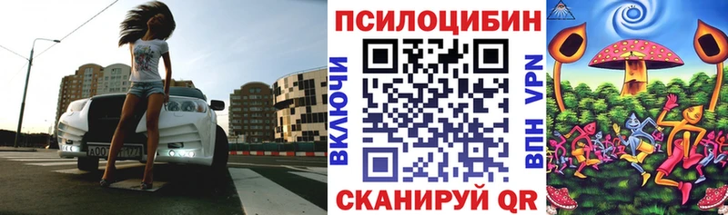 Псилоцибиновые грибы Psilocybe  Вязьма 
